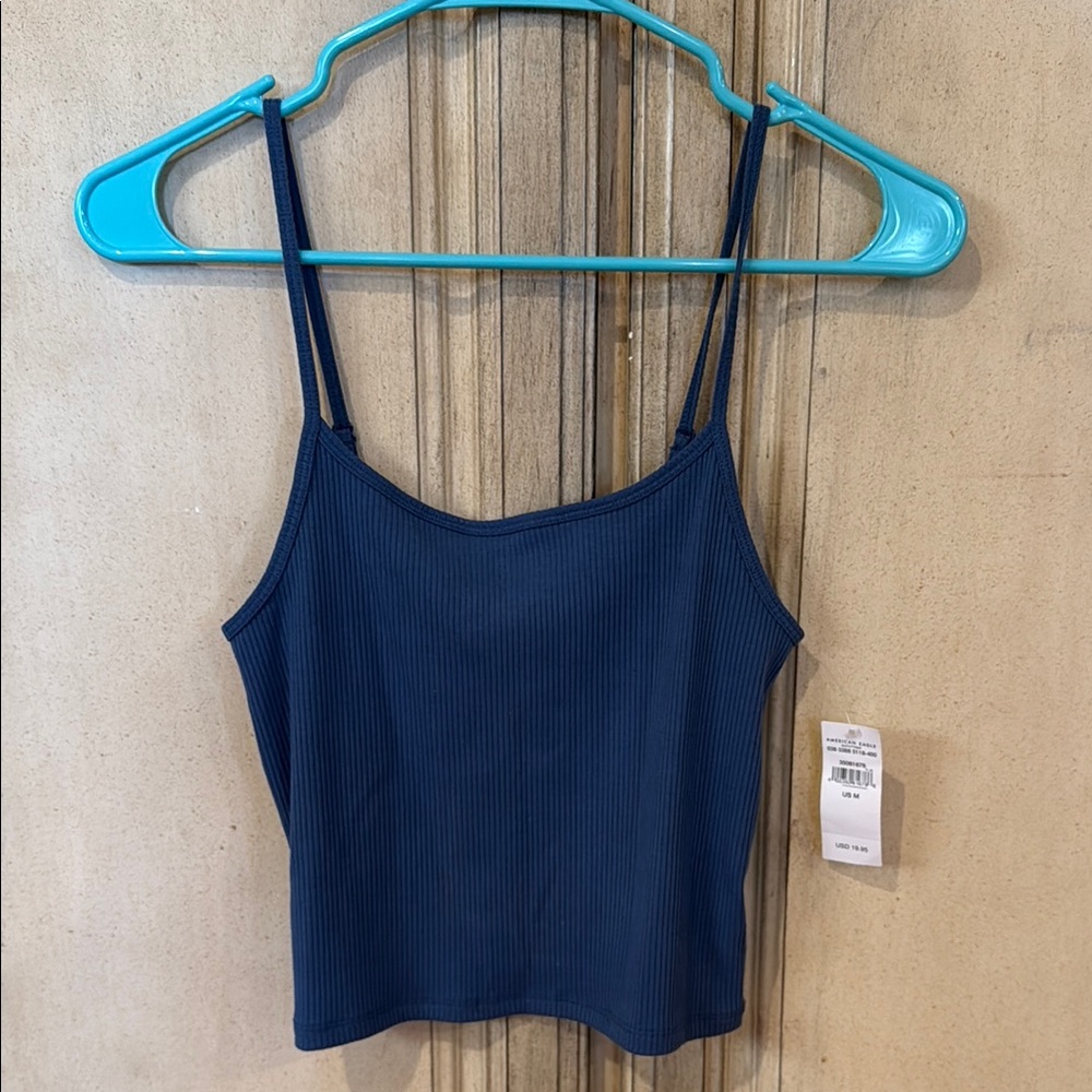 American Eagle Outfitters Blue Fitted Crop Camisole